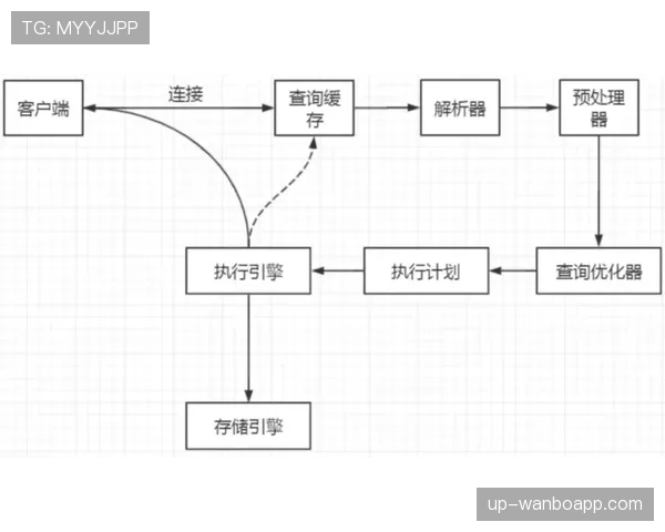 篮球规则解析：裁判判罚流程的每一步如何执行？